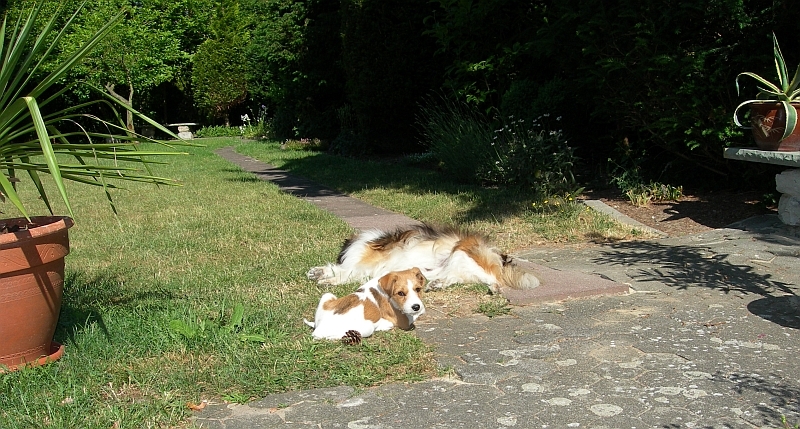 Fritz & Nicki