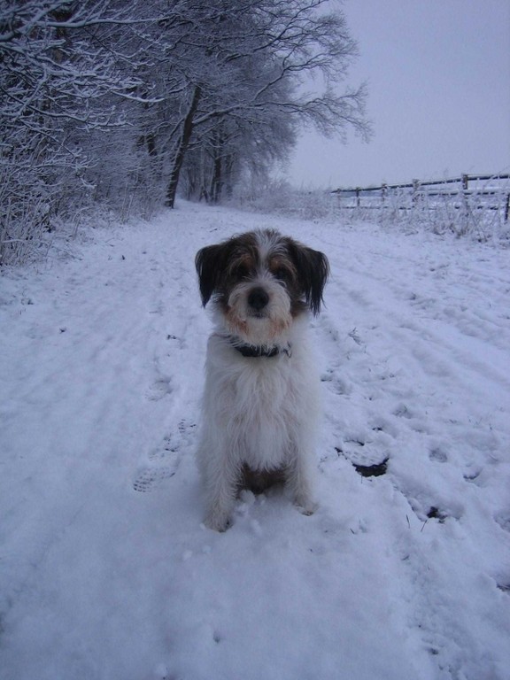 27. Januar 2012  "Mieses Wetter, keine Sonne, aber S C H N E E !"