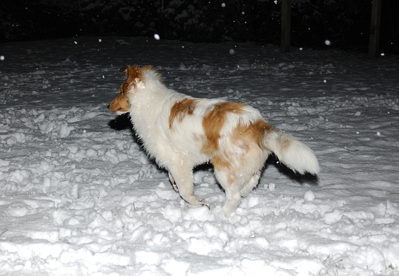 Amarettos erster Schnee