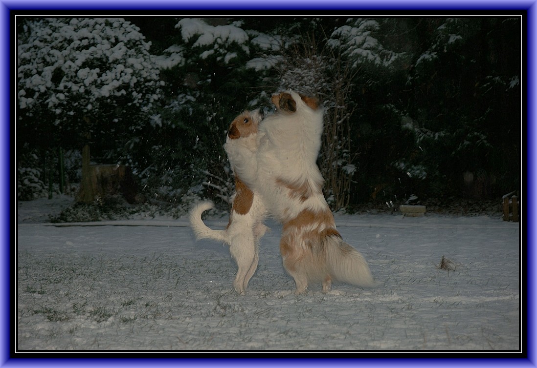 Den Schnee, Schnee, Schnee, Schneewalzer tanzen wir.....