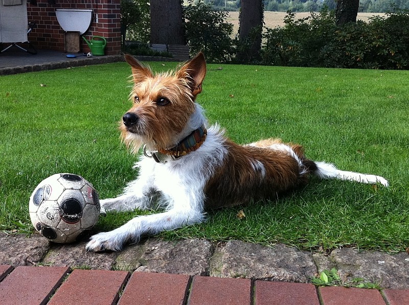"Mein Ball, mein Garten, ALLES meins!"