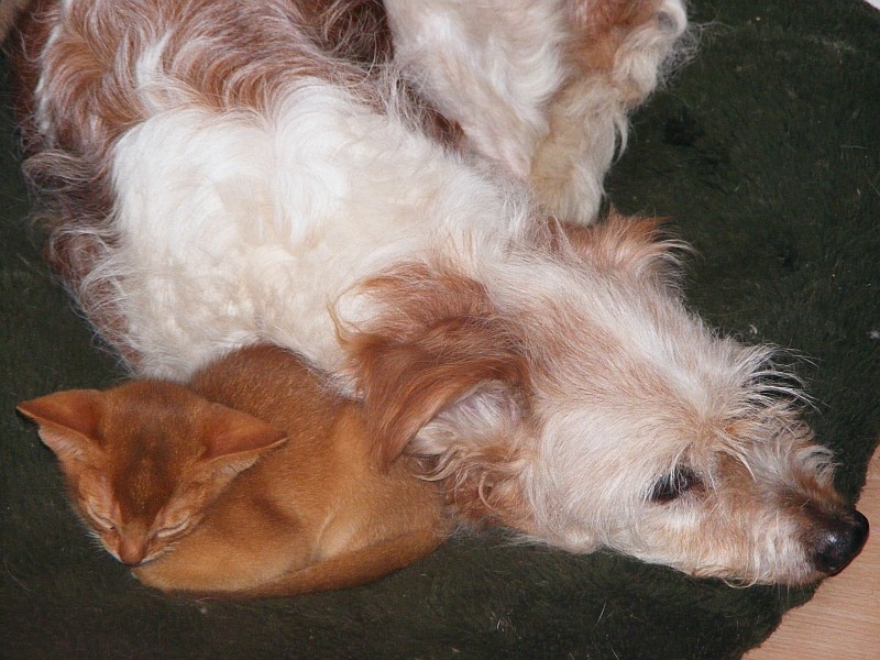 20.08.2009  Nauka & Buzz