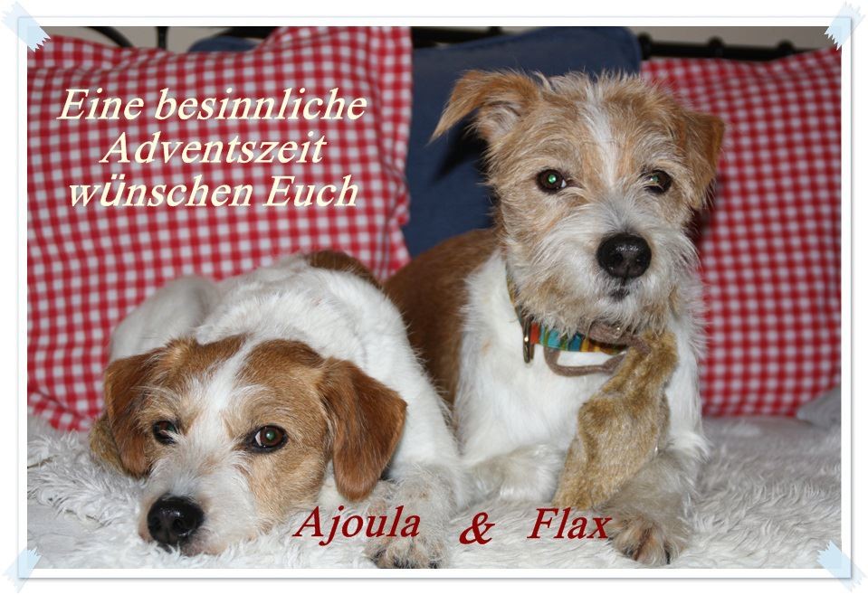 02. Dezember 2012   Ajoula & Flax wünschen allen einen schönen ersten Advent ;-)