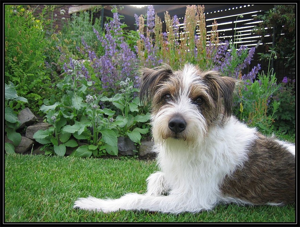07. Juni 2012 "Ich passe auf die Blümchen auf."