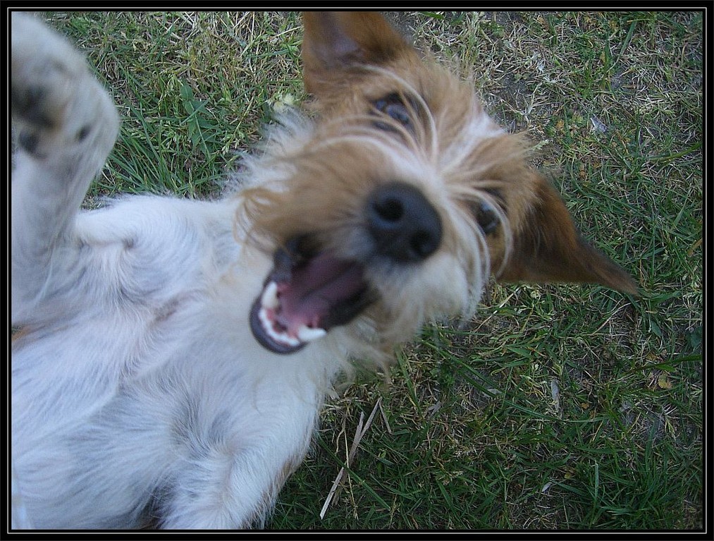 04. Mai 2007    "Buuuuuh nicht kitzeln!!!"