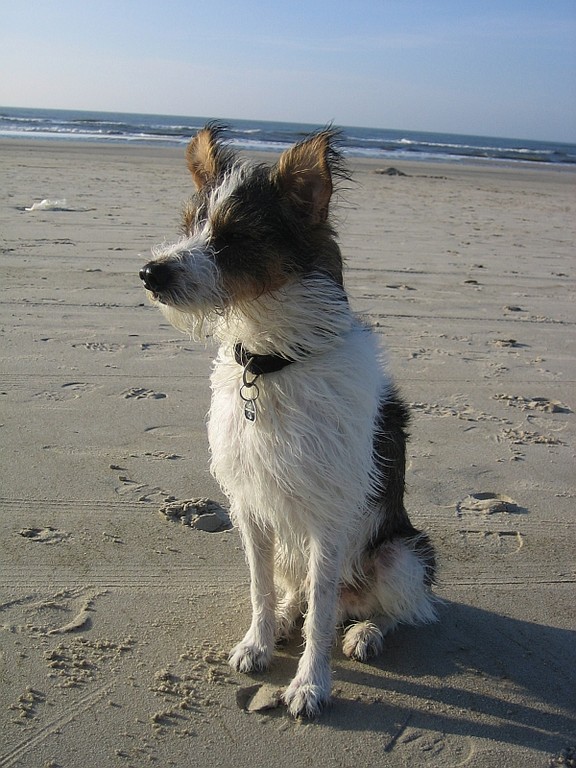 Ich liebe Urlaub an der See