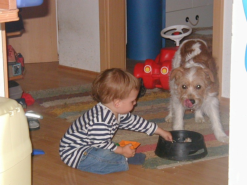 27.05.2003  Lecker Futter, das reicht auch für zwei....