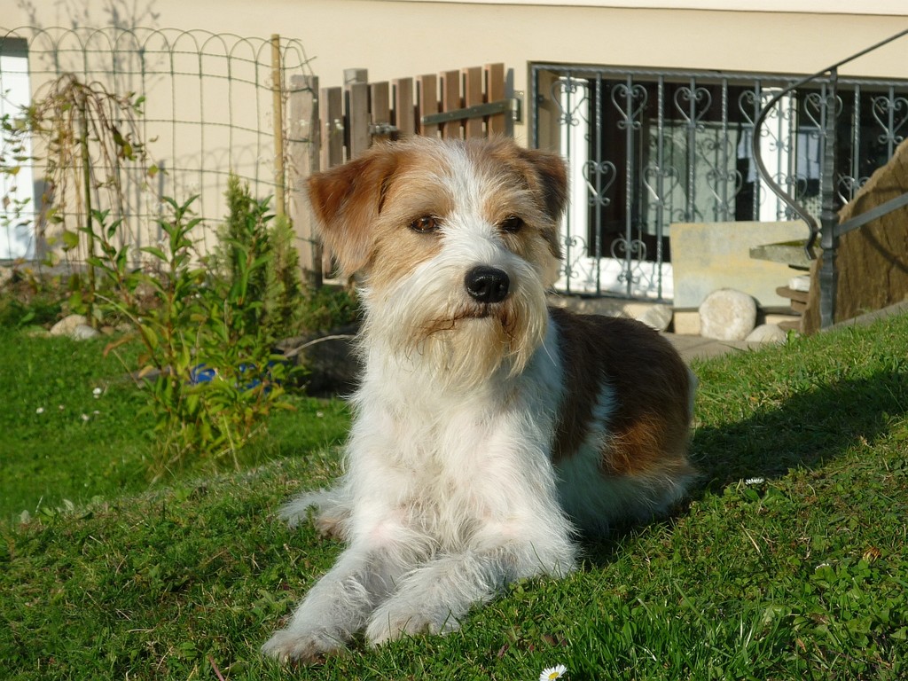 22.09.2010  Tuba in Pose ;-)