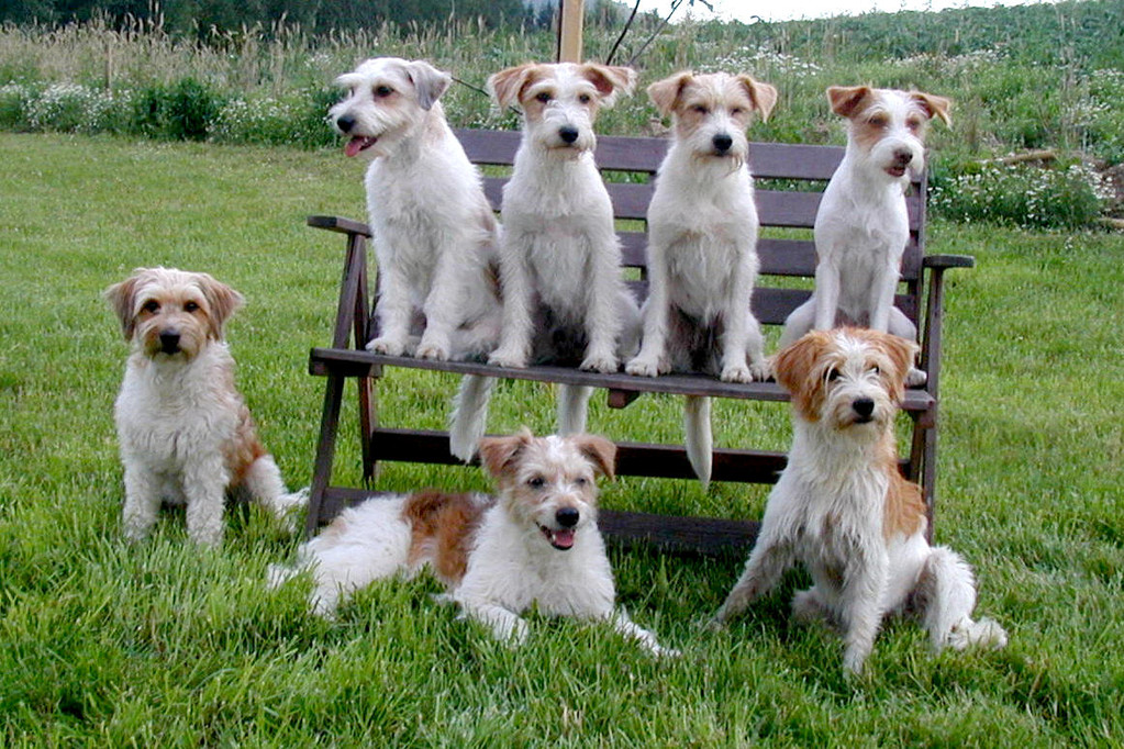 04.11.2011   Gruppenbild mit Q´s