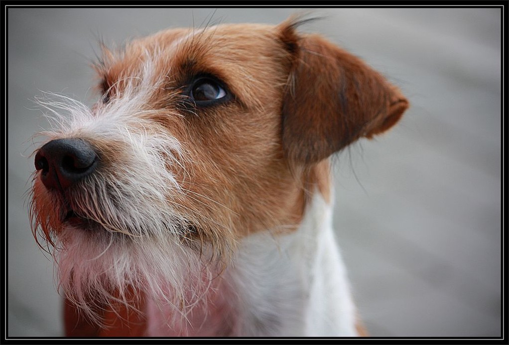 23.08.2009  Ich von Links. "Schau mir in die Augen, Kleines."  ;-)