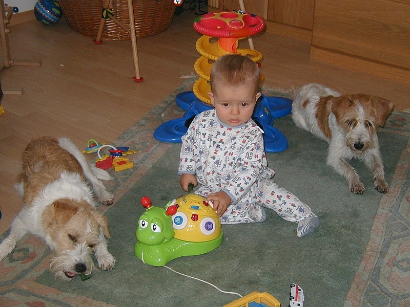 2001 Konstantin, Katla & Bastia