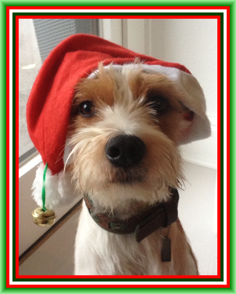 02. Dezember 2012  "Ich wünsche euch einen schönen 1. Advent."