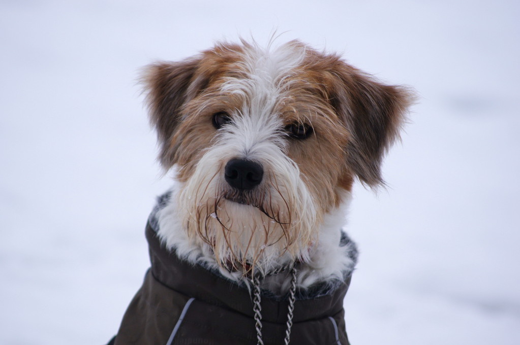 19.02.2012  "Brrrrr, ist das kalt draußen!"