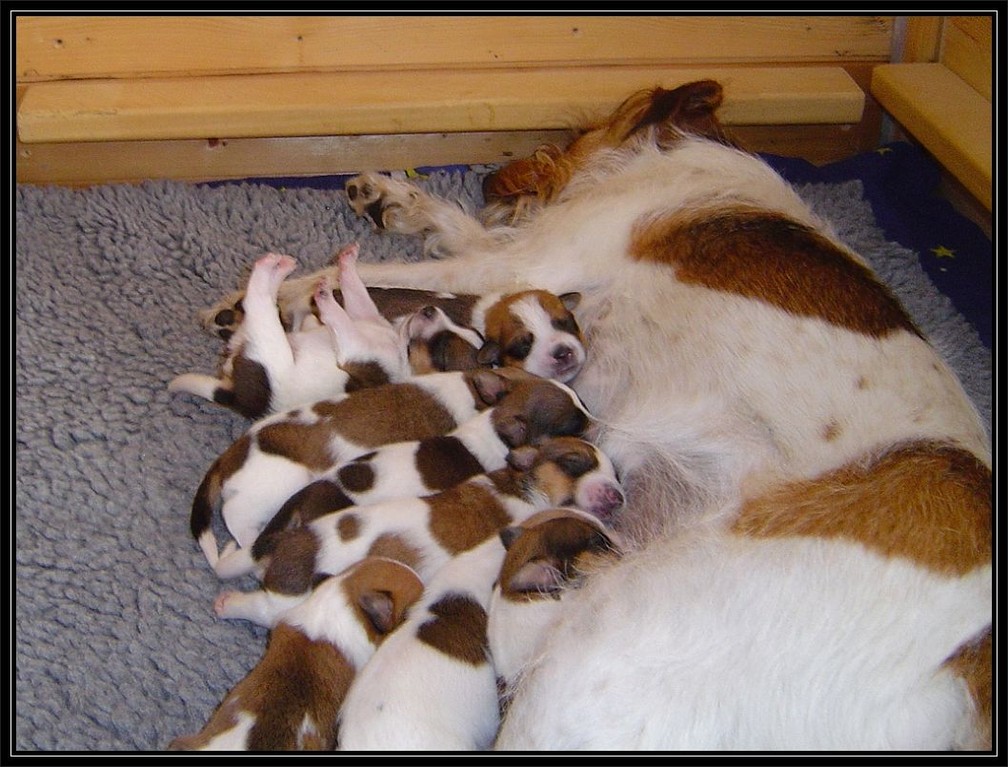 23.03.2006  Wir alle bei Mami