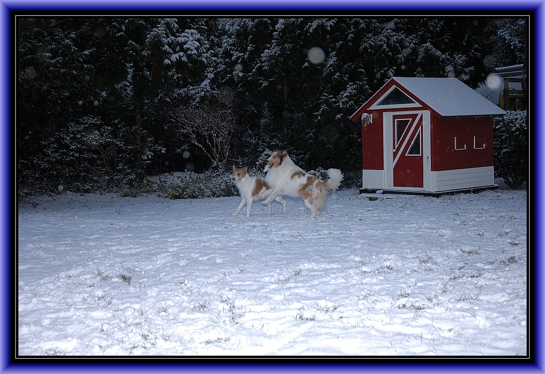 Schneeeee, endlich Schneeeee.........................