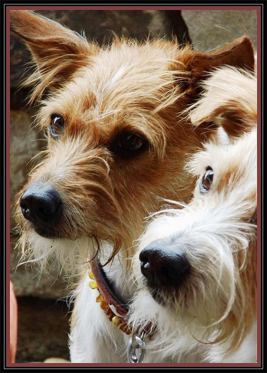 Juni 2012  Minchen & Opa Flax