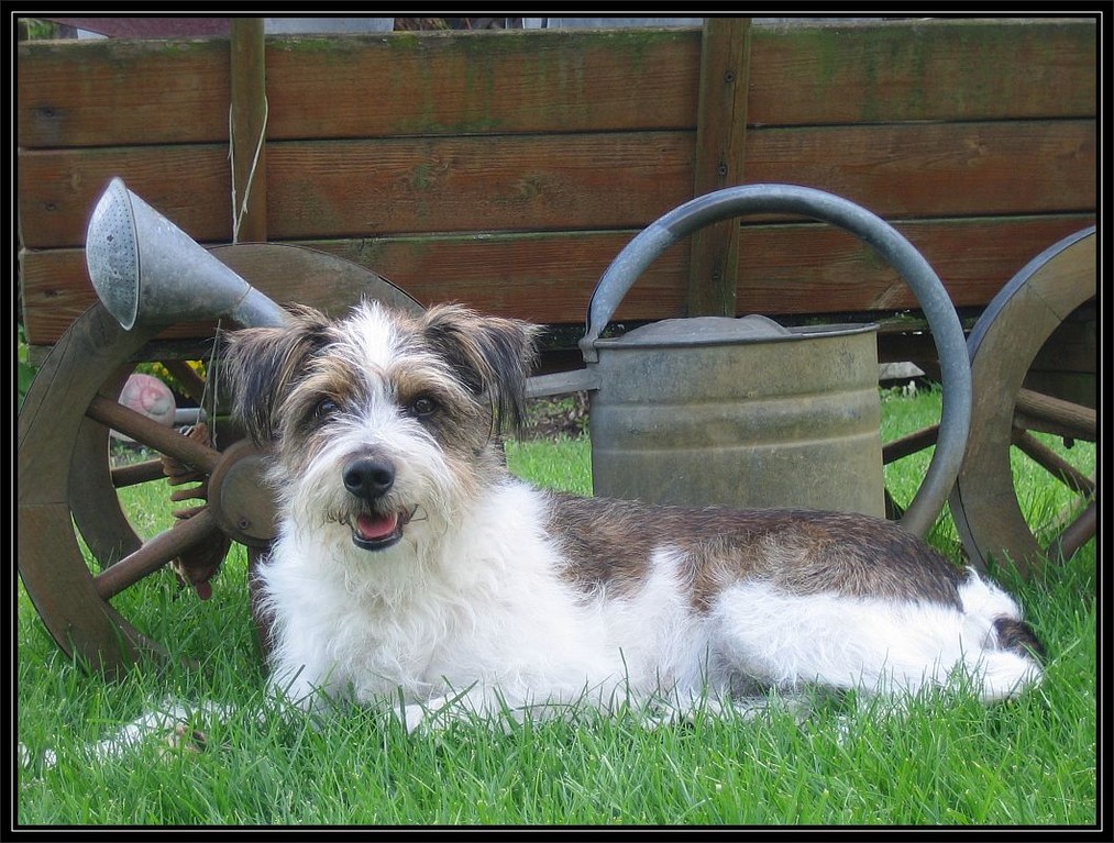 20. Mai 2012  "Ob ich so Model für OBI werde?"