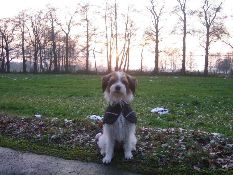 27. Januar 2012  "das ist meine Thermoweste ;-) "