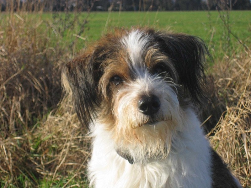 14. Januar 2012  "Bin ich nicht super lieb?"