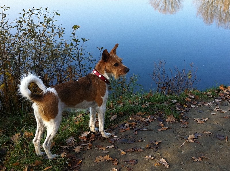 "Geh´ ich nun baden, oder gehe ich nicht?!"