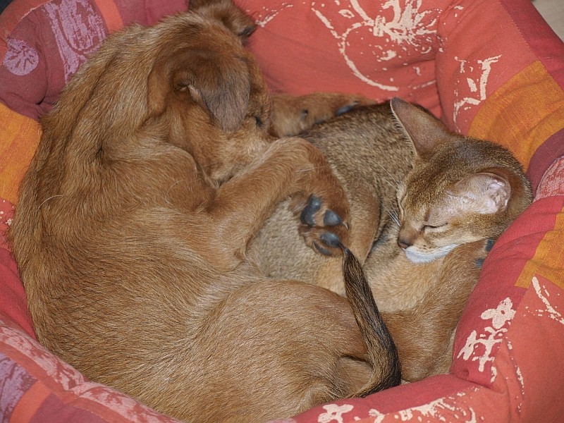 03.05.2010  Grace & Ashoka