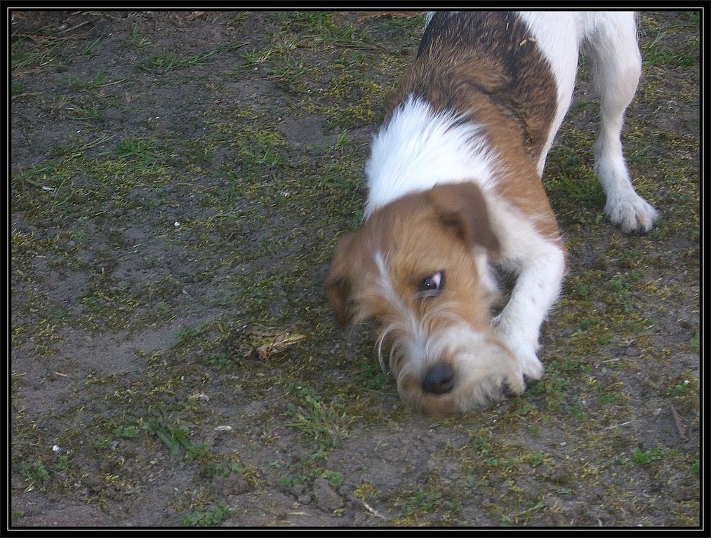 14. April 2007  "Wenn ich dich knutsche, wirst Du dann ein Prinz, oder eine Prinzessin?"