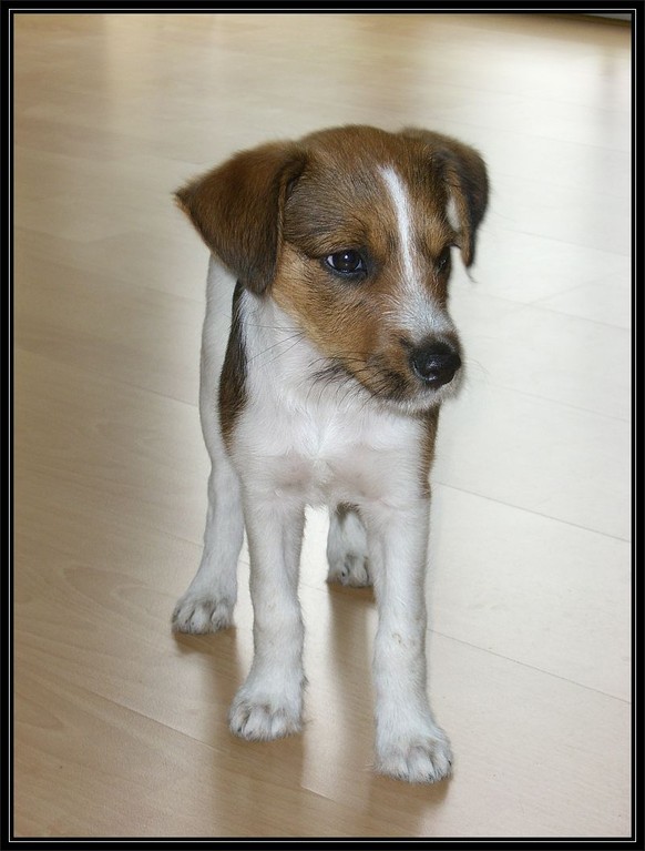 03. Juni 2006    "Bin ich schon grooooß!"