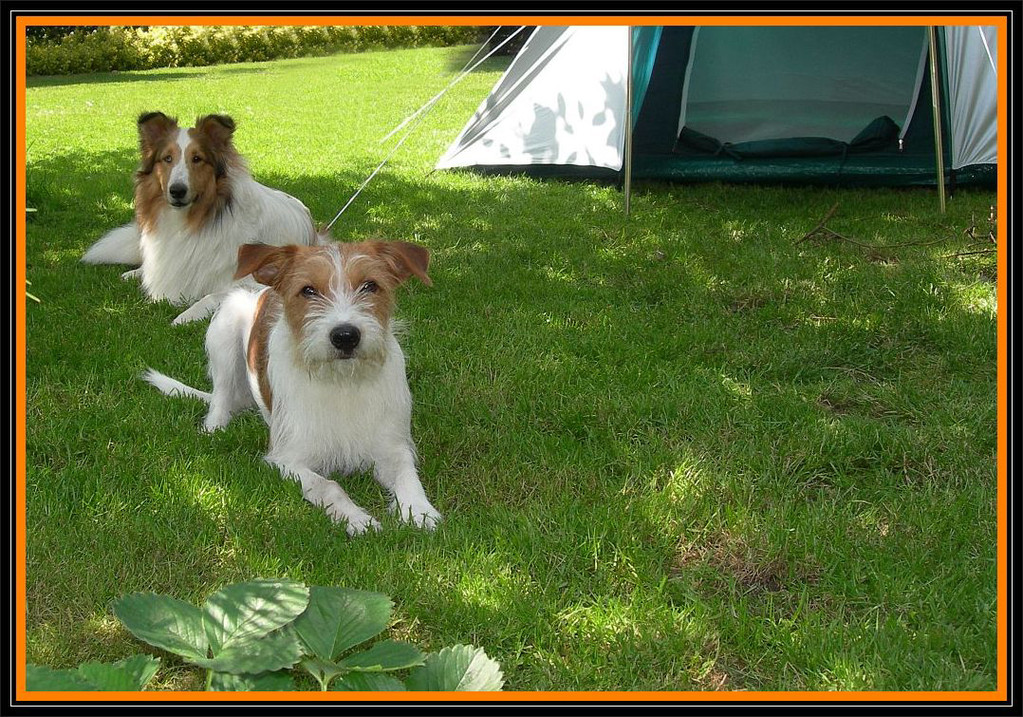 "Egal Fritze.... wenn es mit Hawaii nichts wird, dann machen wir Urlaub im Garten!" ;-)