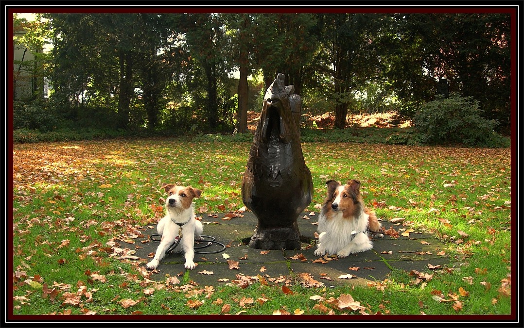 27. Oktober 2012  Fritz & Retti im kleinen Park beim großen Hahn ;-)