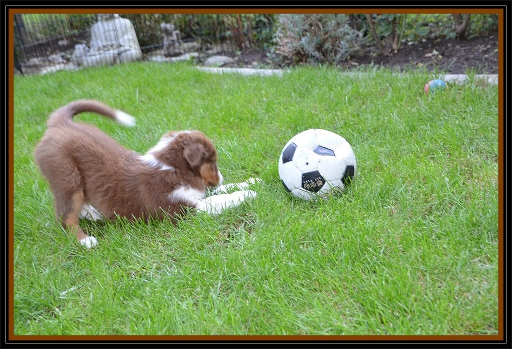 "Mannomannnn, der ist aber groß, der Ball."