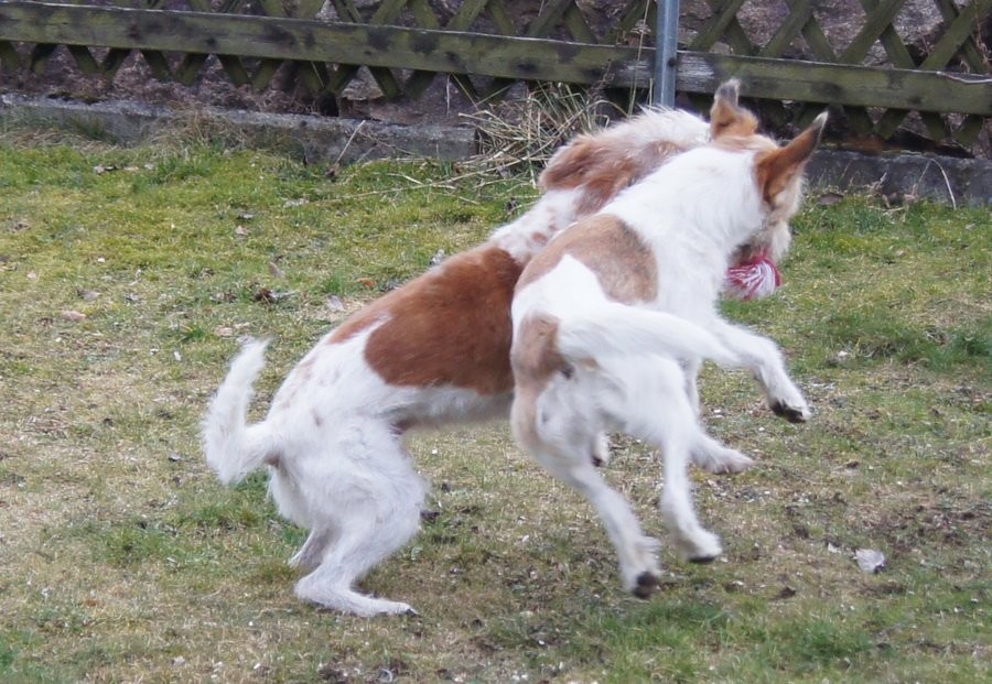 "..... niemals, das ist mein "Ding!"