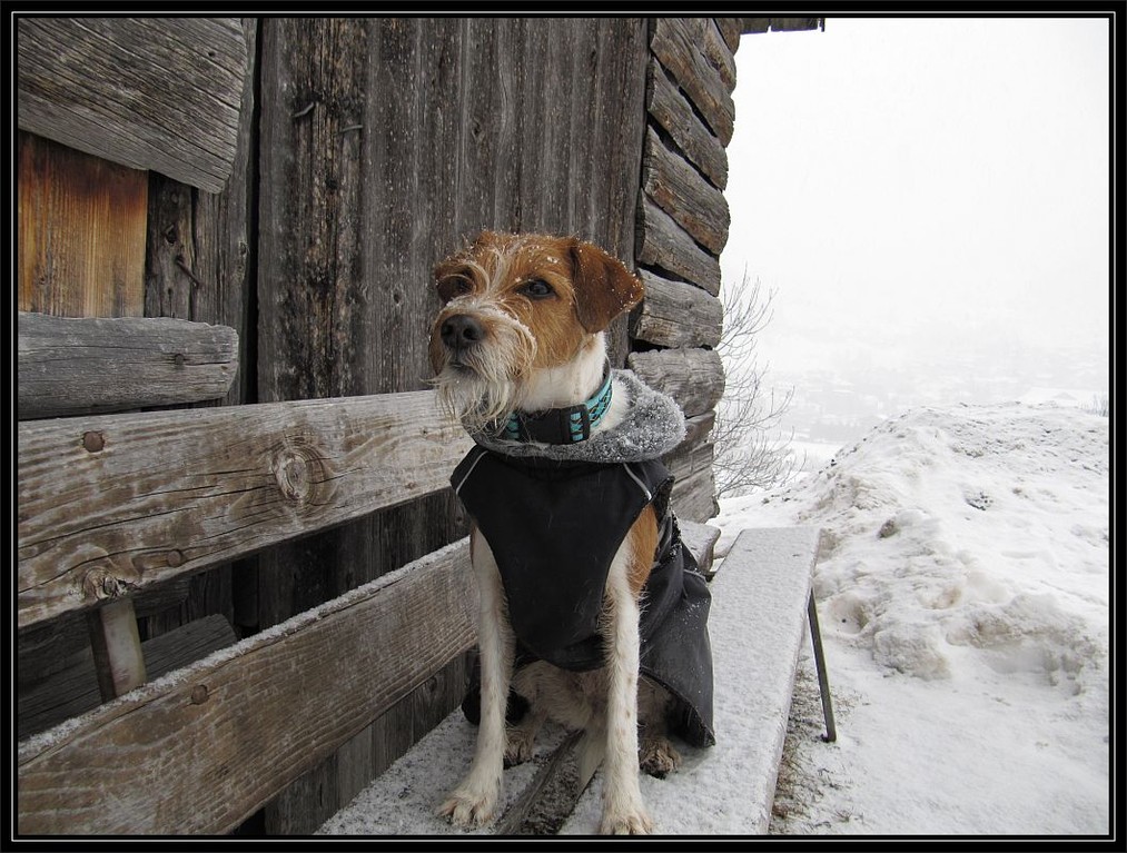20. Januar 2012  "Brrrr, kalt! Aber schön ist es trotzdem gewesen."