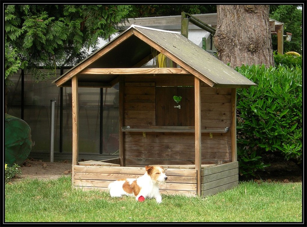 30. Mai 2012, Nessie und ich hatten die Idee, aus dem Sankasten ein Hundehaus zu bauen.....