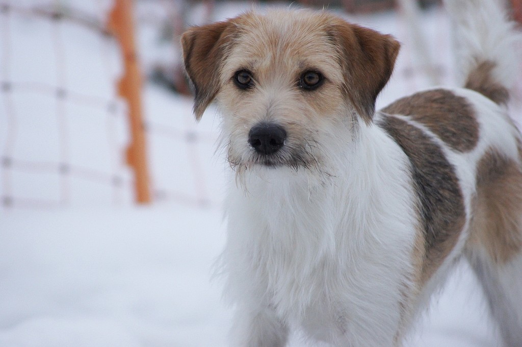 17.02.2012  "Schnee ist schööönn."