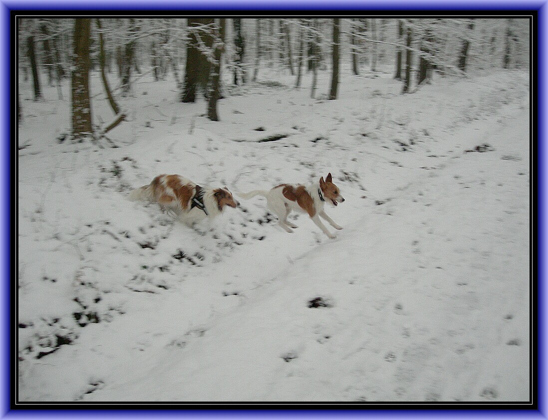 ....lauf Fritze, ich schnapp dich!!!!