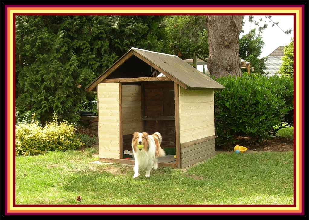09. Juni 2012, wir hatten Holz gekauft und die Seitenwände angebaut.....