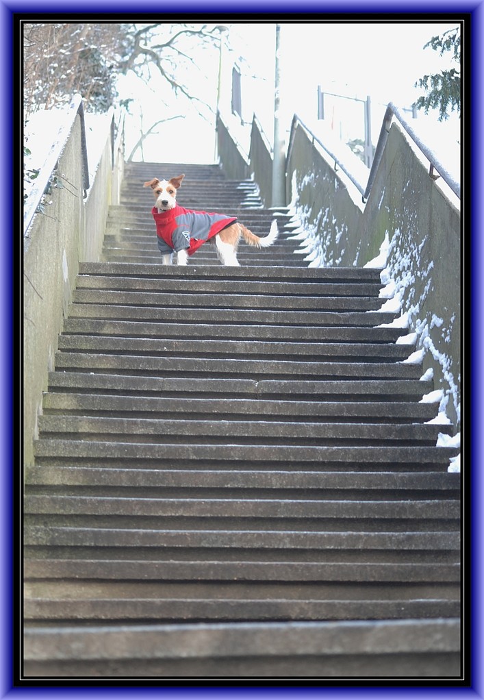 "Stairway to Heaven, hihi."