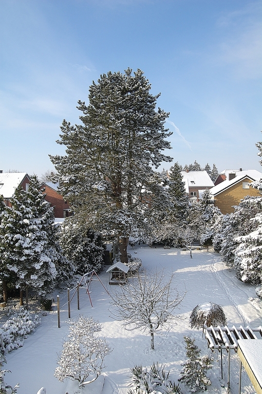 Der "Hundegarten"  im Winter
