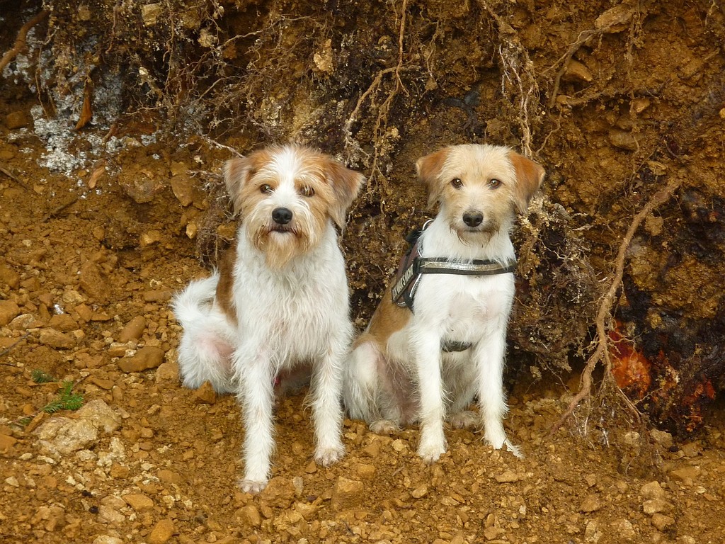 01.01.2012  Tuba & Wurzel