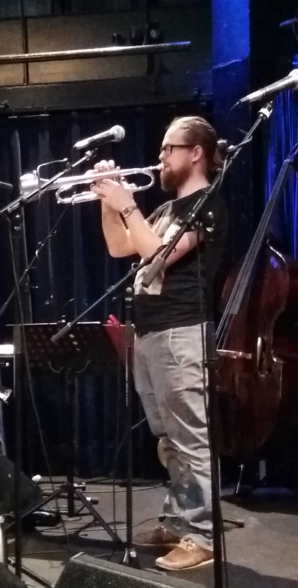 Gastmusiker, Thomas Schmiedinger, Treibhaus 2018