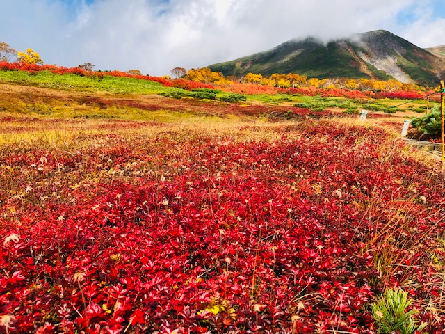 秋山