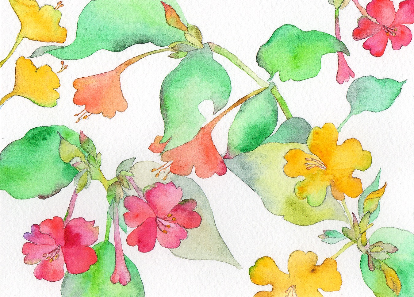 MIYAKO  PLATZ    No.3 「庭の花火」