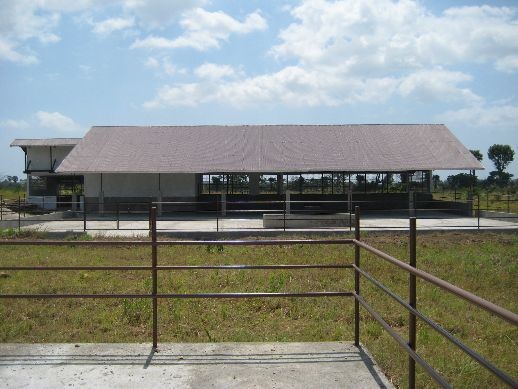The cow shed is almost finished, soon to be a home to about 200 cows.