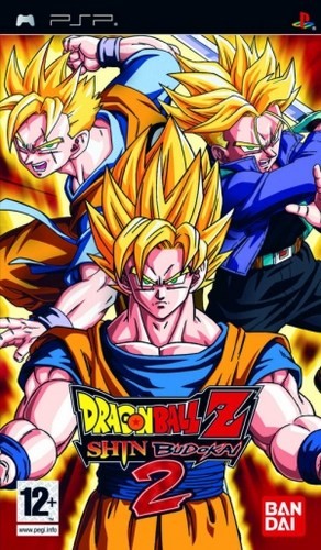 DBZ SHIN BUDOKAI 2