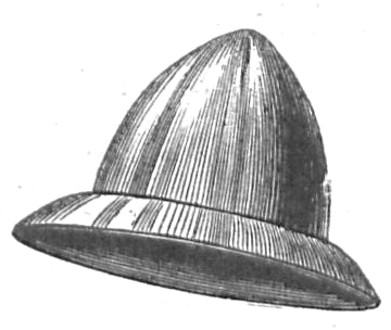 Eisenhut.