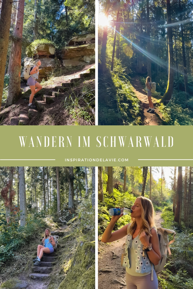 Einer der schönsten Wanderwege im Nördlichen Schwarzwald: Der Teinacher