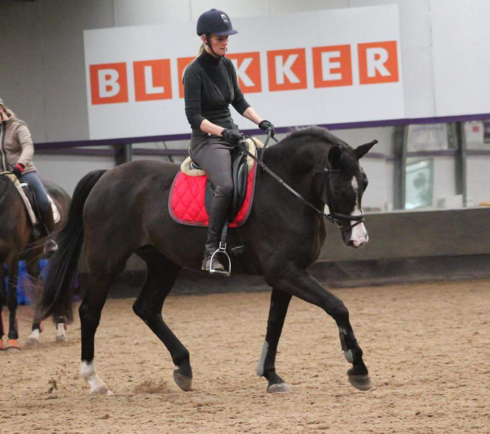 Ellen Barneveld-Stokkink