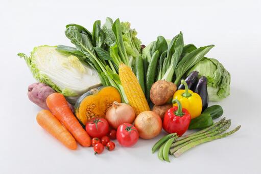 食物繊維の重要性とその働きを解説！