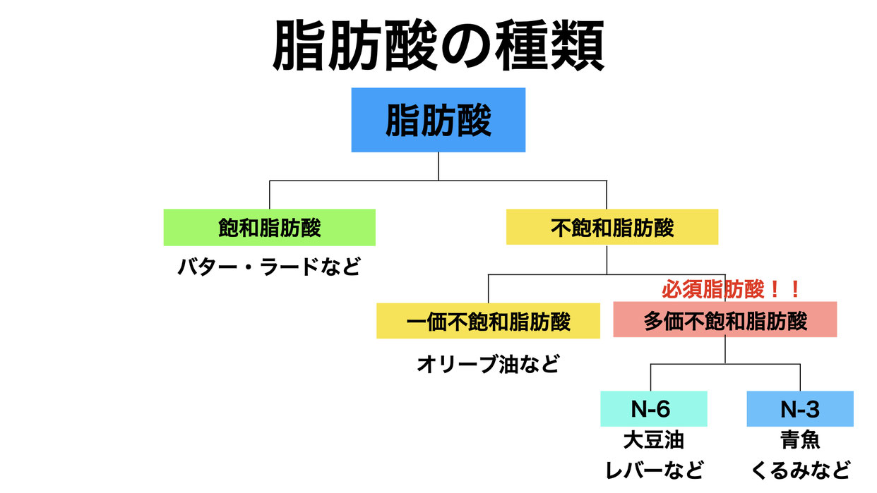 脂肪酸とはどんな役割を持っているかを知っていますか？ダイエットにも超重要です！