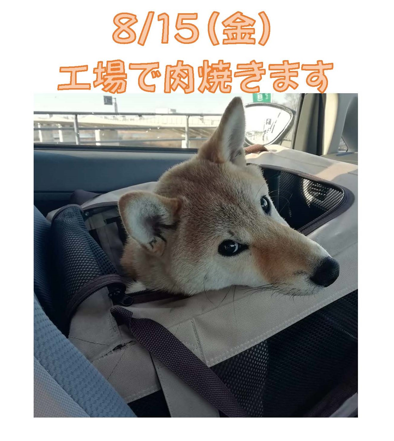 ８/15に肉焼きます